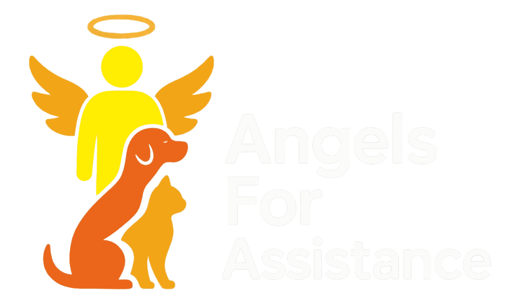 AngelsForAssistanceLogoWhiteLandscapeTB.webp